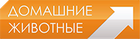 Хатнія жывёлы